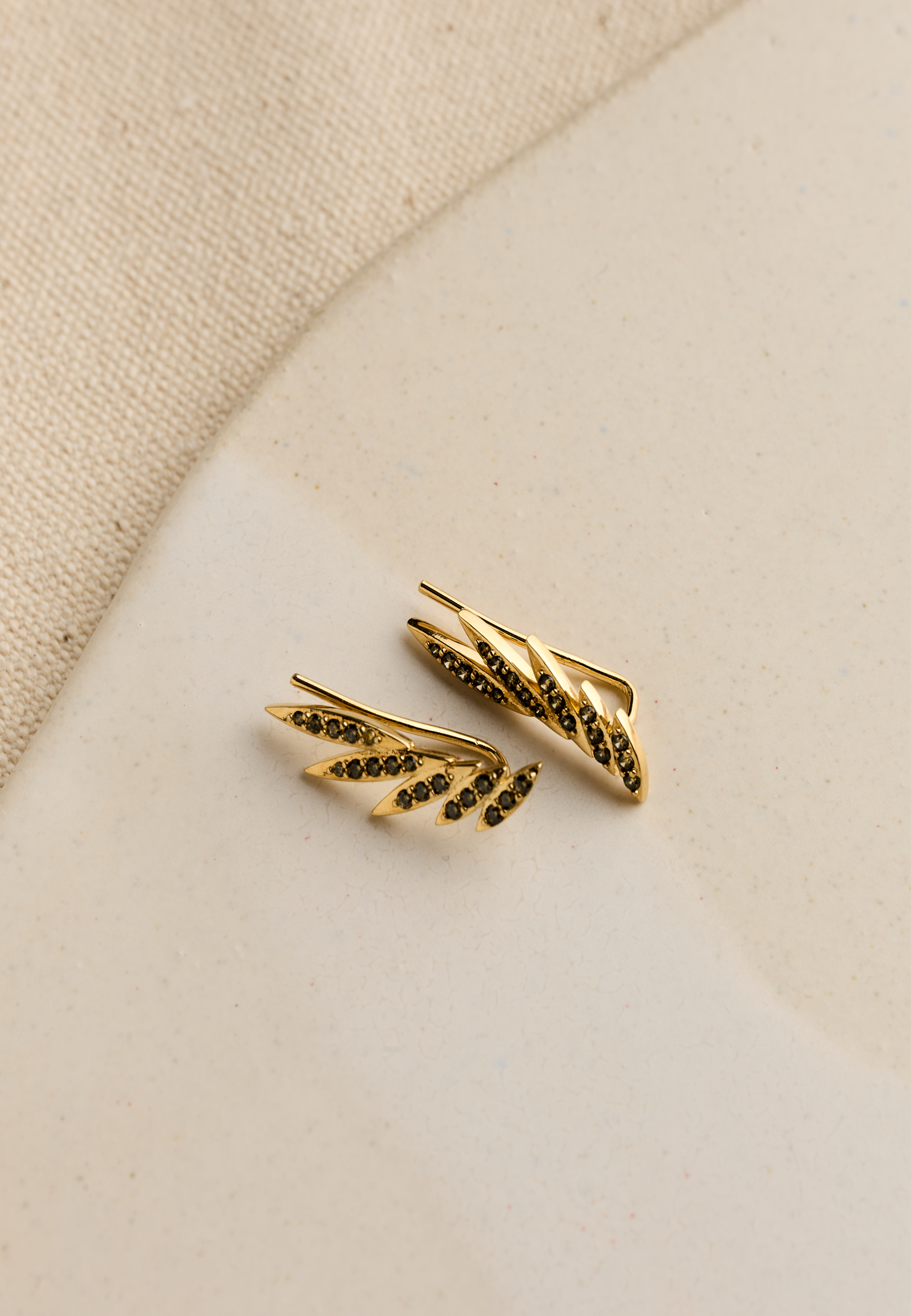 Pendientes Trepadores Jema