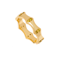 Anillo Fez