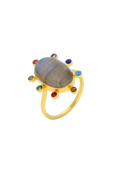 Anillo Dharma Multicolor