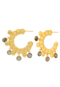 Aros Ganimedes