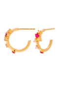 Aros Orchid