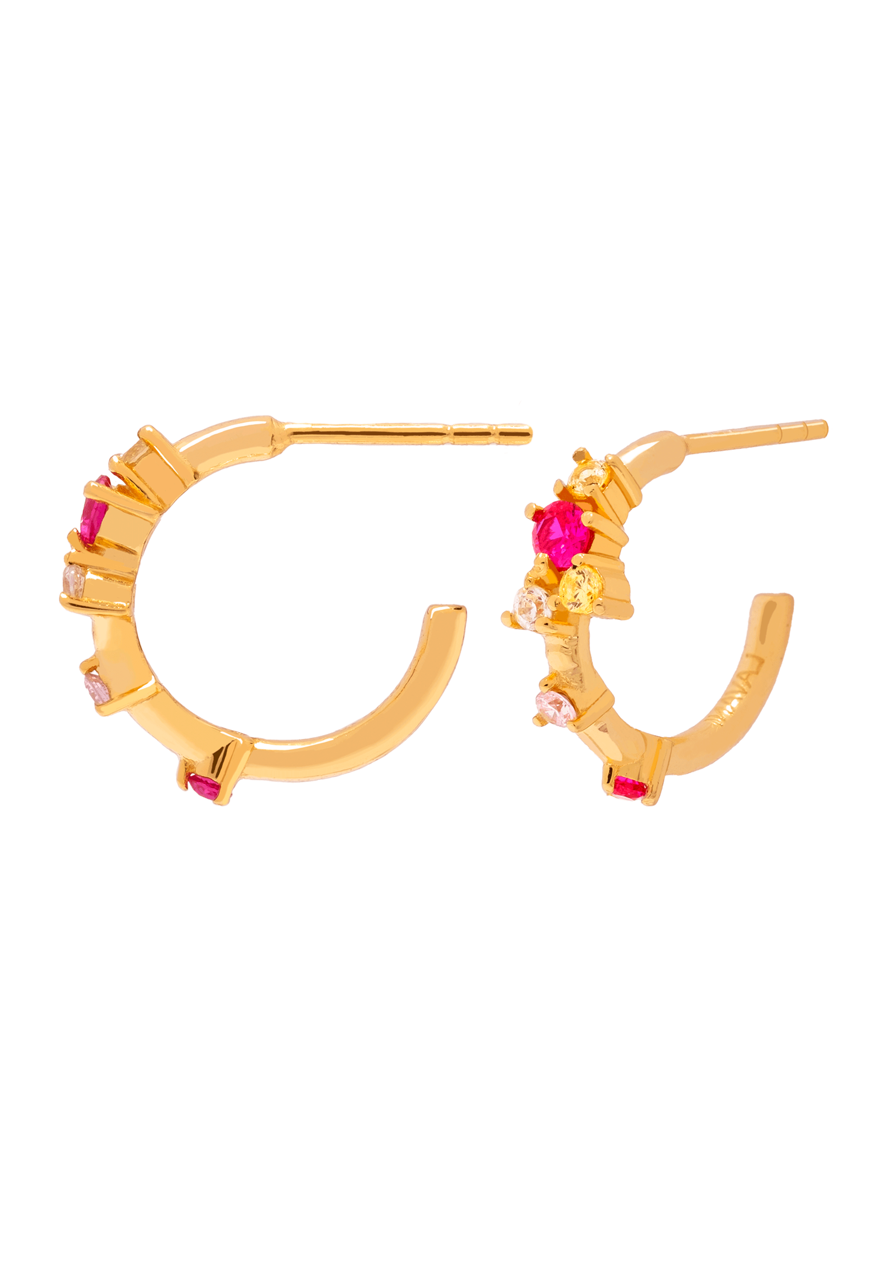 Aros Orchid
