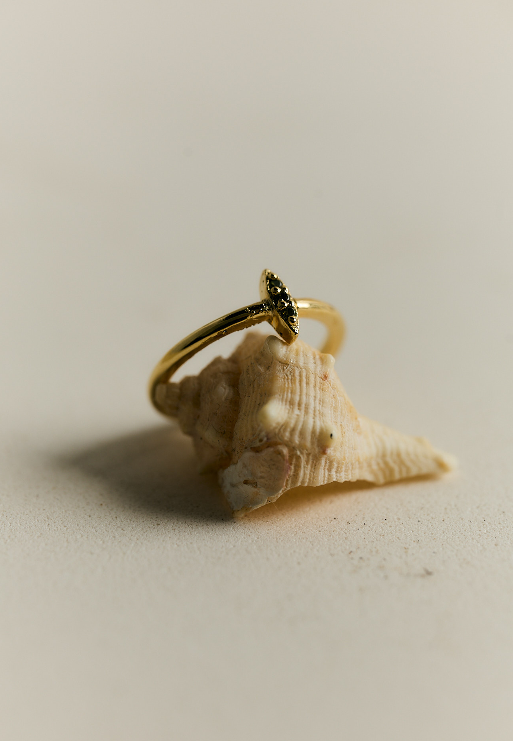 Anillo Zagora