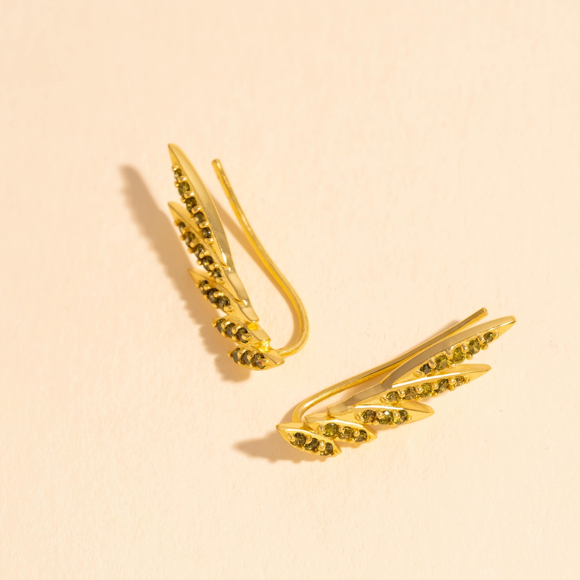 Pendientes Trepadores Jema