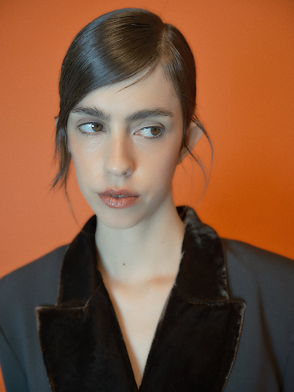 Virginia chocolate jacket